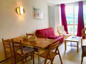 Appartement 43m² pied des pistes avec parking et WIFI - FR-1-515-40